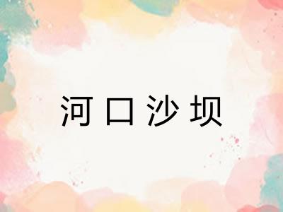 河口沙坝