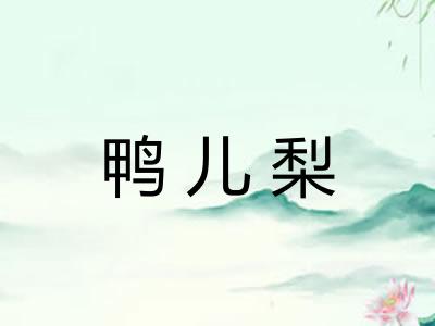 鸭儿梨