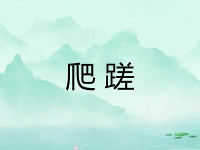 爬蹉