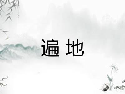 遍地