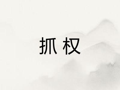抓权