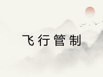 飞行管制