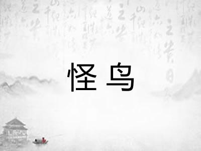 怪鸟