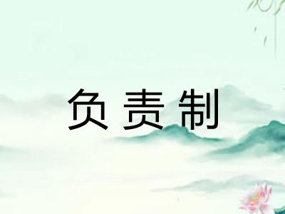负责制