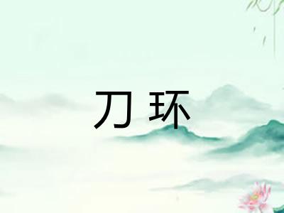 刀环