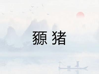 豲猪