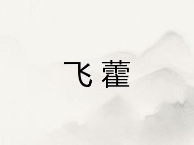 飞藿