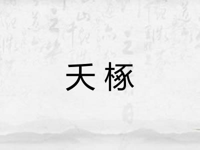 夭椓