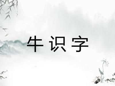 牛识字