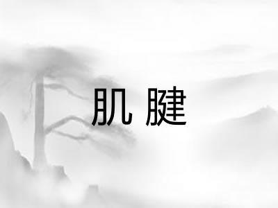 肌腱