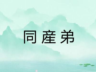 同産弟
