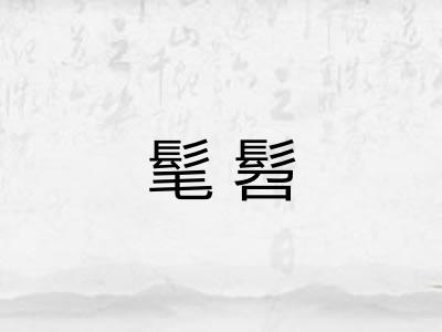 髦髫