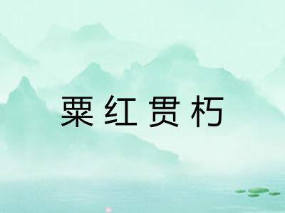 粟红贯朽