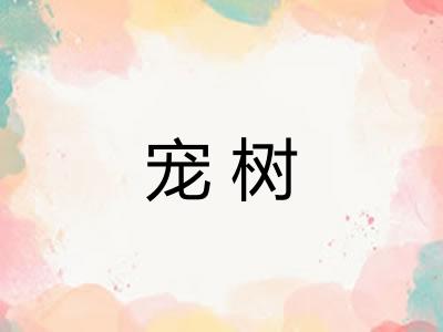 宠树