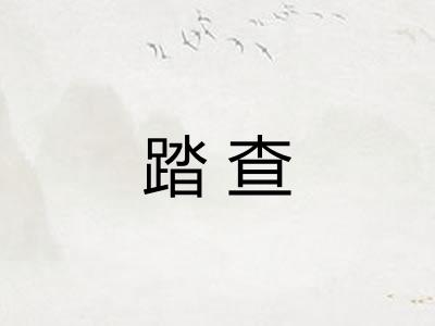 踏查