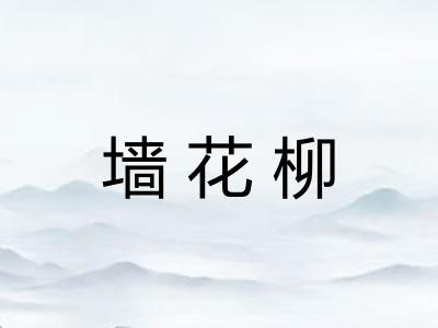 墙花柳