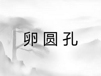 卵圆孔