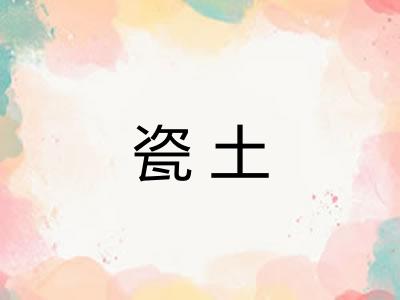 瓷土