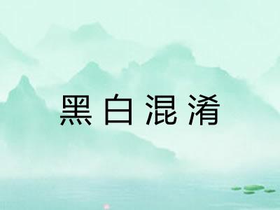 黑白混淆