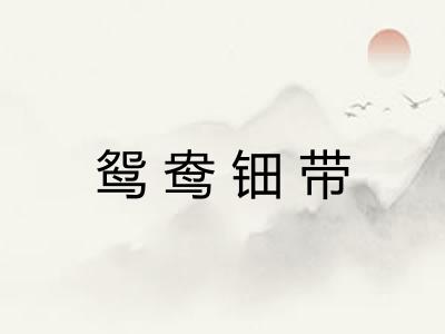鸳鸯钿带