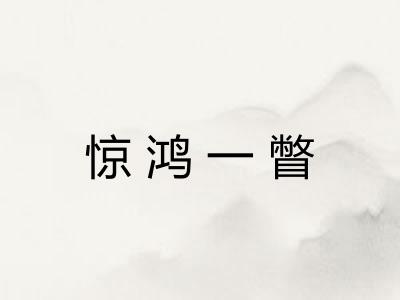 惊鸿一瞥