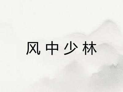 风中少林