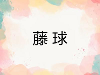藤球