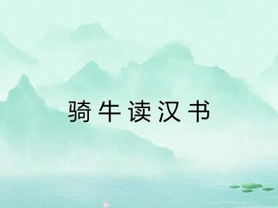 骑牛读汉书