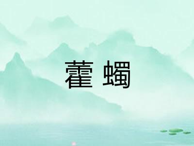 藿蠋