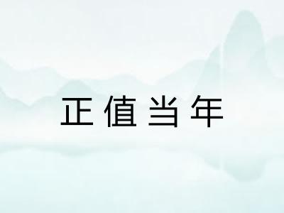 正值当年