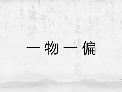 一物一偏