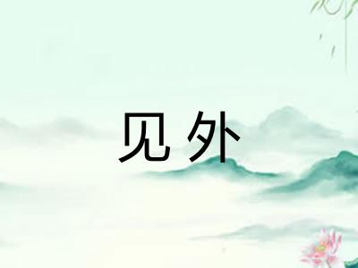 见外