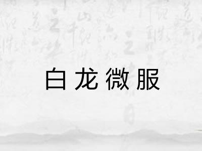 白龙微服