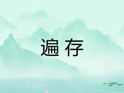 遍存