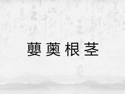 蘡薁根茎