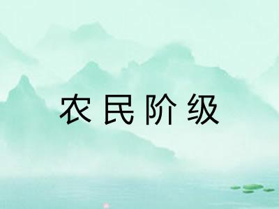 农民阶级