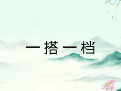 一搭一档