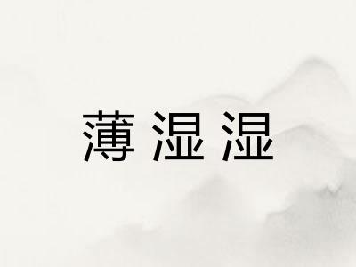 薄湿湿