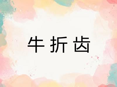 牛折齿