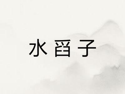 水舀子