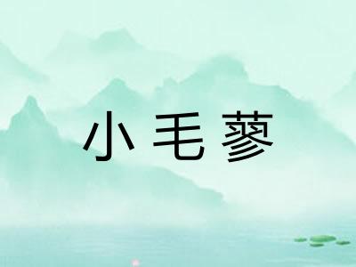 小毛蓼