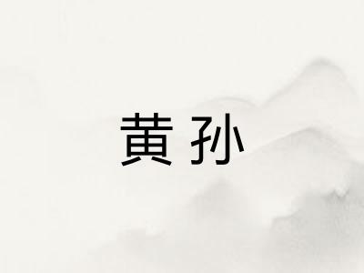 黄孙