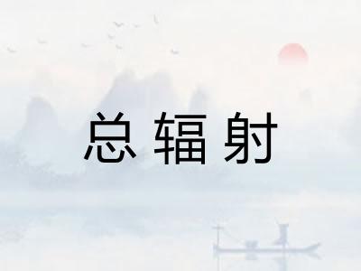 总辐射