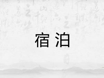 宿泊