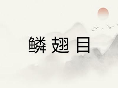 鳞翅目