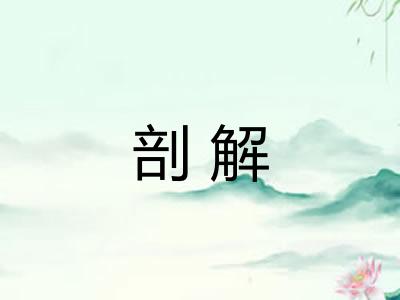 剖解