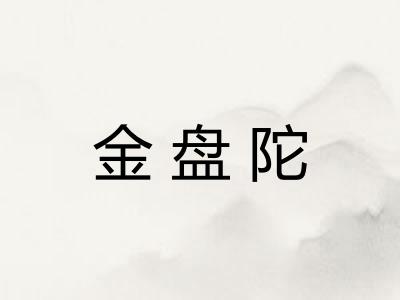金盘陀