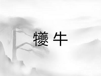 犪牛