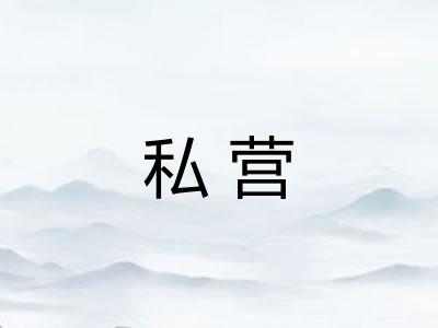 私营