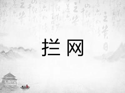 拦网